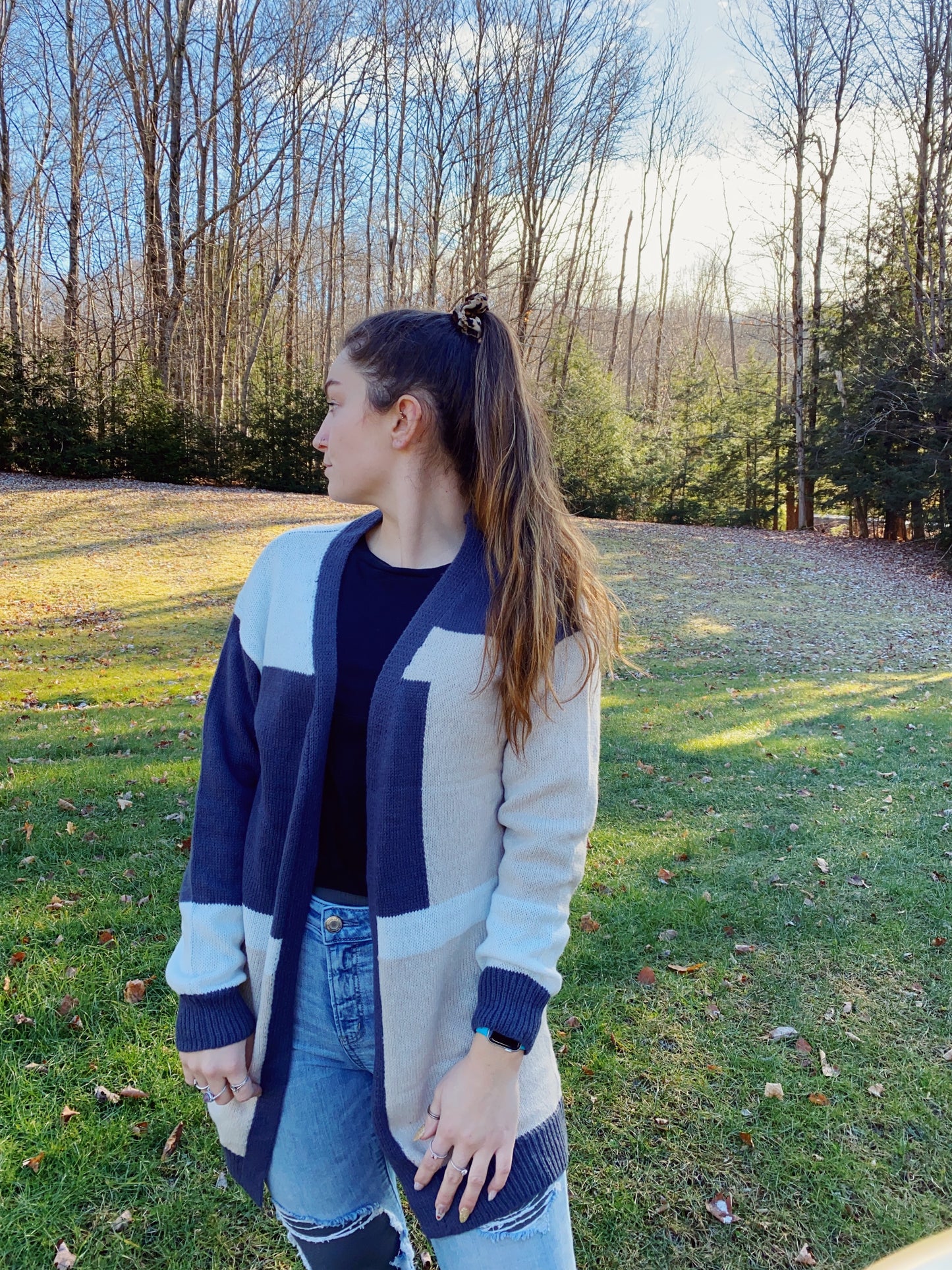 Neutral Tones ColorBlock Cardigan Sweater