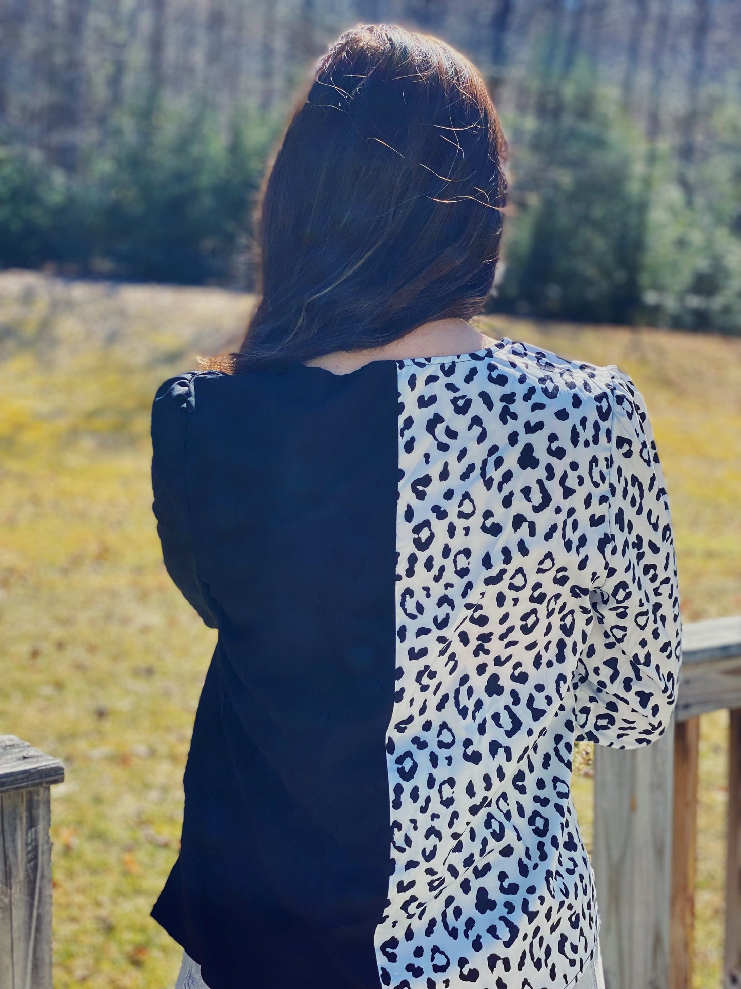 Leopard Colorblock V-neck Blouse